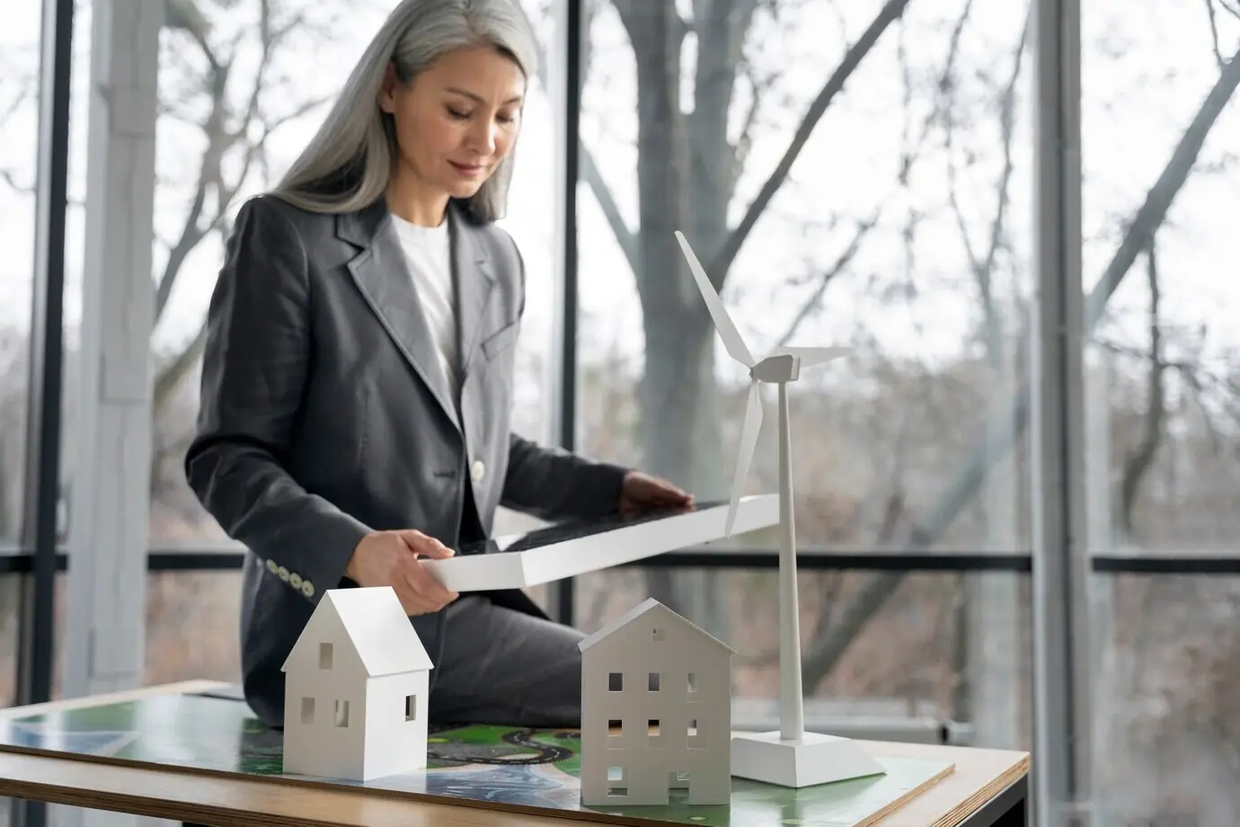 Business professional planning for alternative forms of energy